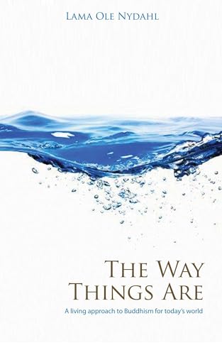 Beispielbild fr The Way Things Are: A Living Approach to Buddhism (Buddhism (O Books)) zum Verkauf von BooksRun