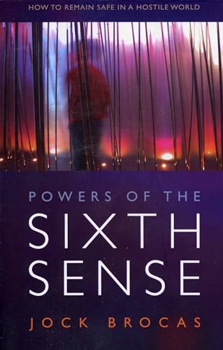 Stock image for Power of the Sixth Sense: How to Keep Safe in a Hostile World for sale by HPB-Ruby