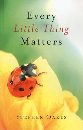 Beispielbild fr Every Little Thing Matters zum Verkauf von WorldofBooks