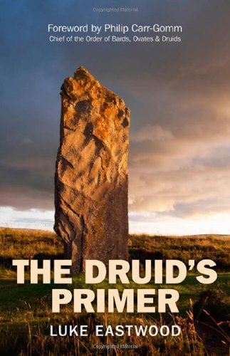Beispielbild fr The Druid's Primer zum Verkauf von Monster Bookshop