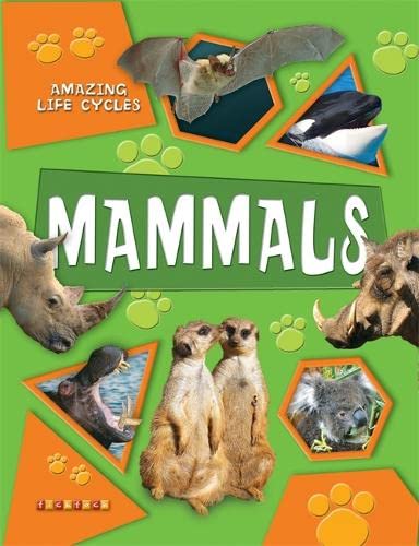 Beispielbild fr Mammals (Amazing Life Cycles) zum Verkauf von WorldofBooks