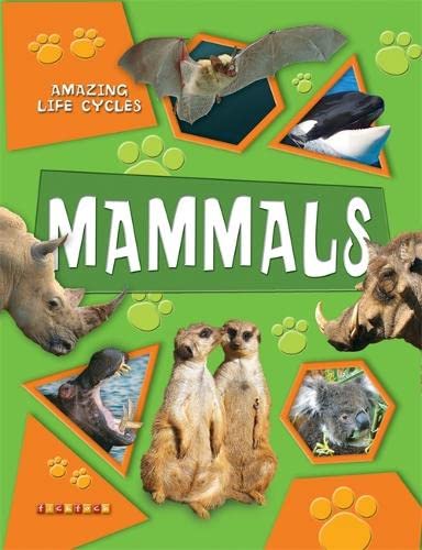 9781846960703: Amazing Life Cycles: Mammals