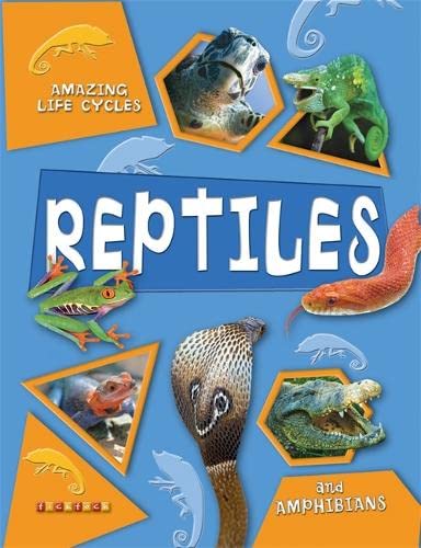 Beispielbild fr Reptiles and Amphibians (Amazing Life Cycles) zum Verkauf von AwesomeBooks