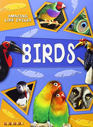 Beispielbild fr Birds (Amazing Life Cycles) zum Verkauf von AwesomeBooks