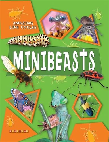 Beispielbild fr Minibeasts (Amazing Life Cycles) zum Verkauf von WorldofBooks