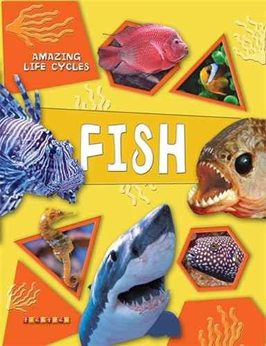Beispielbild fr Fish (Amazing Life Cycles): No. 5 zum Verkauf von WorldofBooks