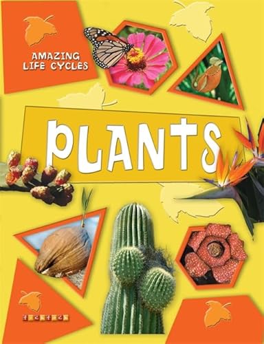 Beispielbild fr Plants (Amazing Life Cycles) zum Verkauf von WorldofBooks