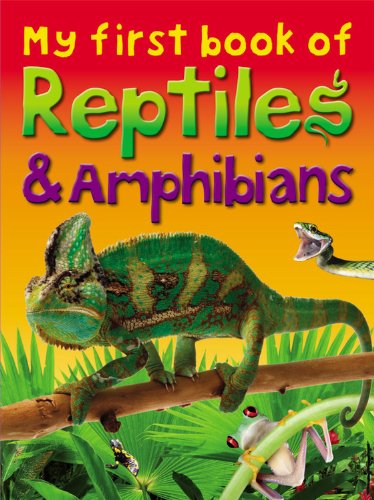Imagen de archivo de My First Book of Reptiles & Amphibians a la venta por ThriftBooks-Atlanta