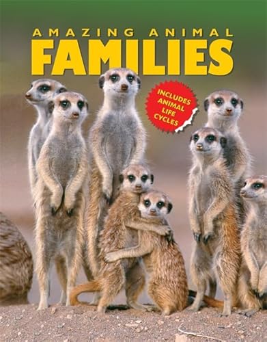 Beispielbild fr Amazing Animal Families zum Verkauf von WorldofBooks