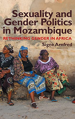 9781847010353: Sexuality and Gender Politics in Mozambique: Re-thinking Gender in Africa
