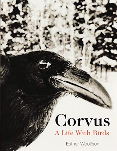 Stock image for Corvus: A Life with Birds for sale by Mike Conry