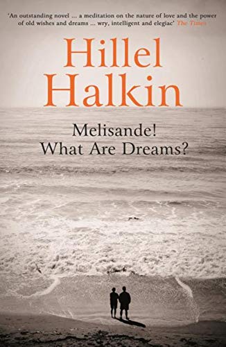 9781847085009: Melisande! What Are Dreams?