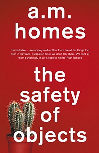 9781847087300: The Safety Of Objects