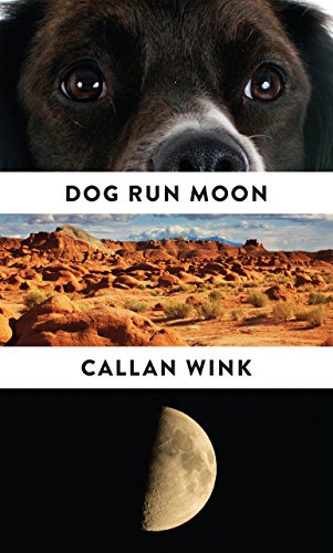 Stock image for Dog Run Moon : Stories for sale by Better World Books