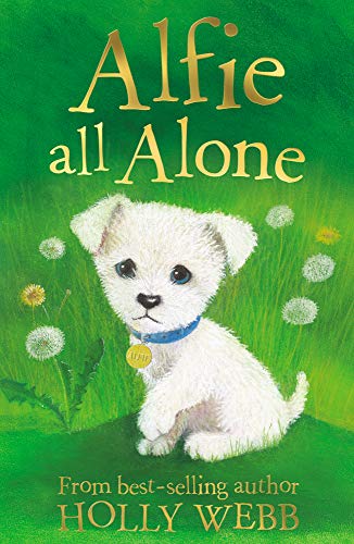 Stock image for Alfie All Alone (Holly Webb Animal Stories) for sale by Your Online Bookstore