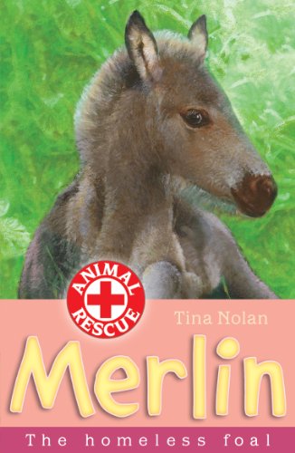 Imagen de archivo de Merlin: The Homeless Foal (Animal Rescue): The Homeless Foal (Animal Rescue) a la venta por Goldstone Books
