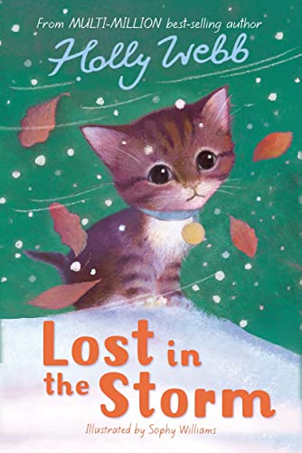 Beispielbild fr Lost in the Storm: 3 (Holly Webb Animal Stories, 3) zum Verkauf von WorldofBooks