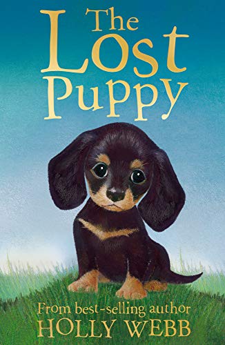Stock image for The Lost Puppy for sale by Goldstone Books