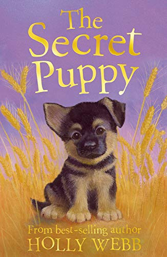 Stock image for The Secret Puppy (Holly Webb Animal Stories) for sale by Reuseabook