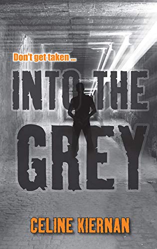 Stock image for Into the Grey for sale by Tall Stories BA