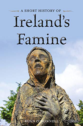 Imagen de archivo de A Short History of Ireland's Famine a la venta por Wonder Book