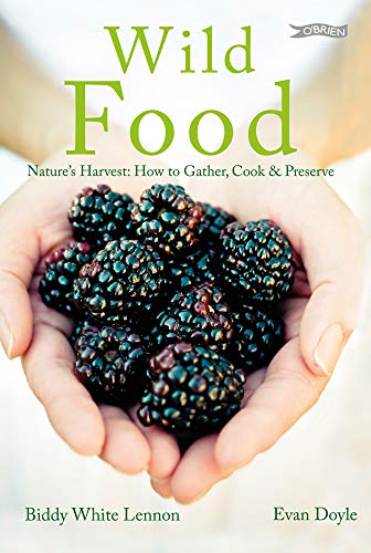 Beispielbild fr Wild Food : Nature's Harvest: How to Gather, Cook and Preserve zum Verkauf von Better World Books