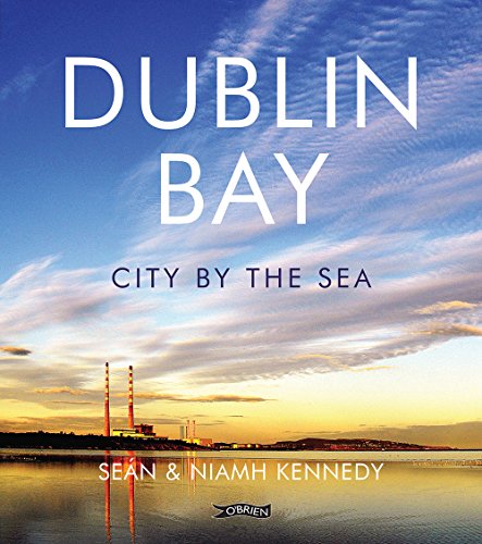 Stock image for Dublin Bay: City by the Sea for sale by Dufour Editions Inc.