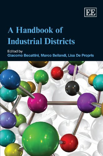 9781847202673: A Handbook of Industrial Districts