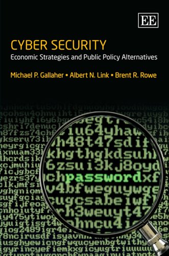 9781847203557: Cyber Security: Economic Strategies and Public Policy Alternatives