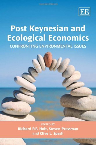 Stock image for Post Keynesian and Ecological Economics Confronting Environmental Issues for sale by Basi6 International
