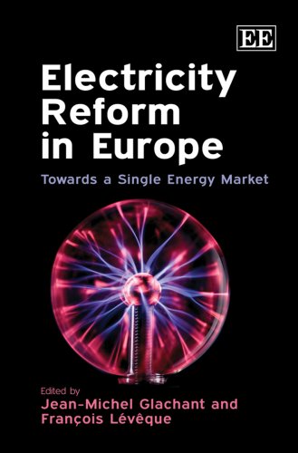 9781847209733: Electricity Reform in Europe: Towards a Single Energy Market