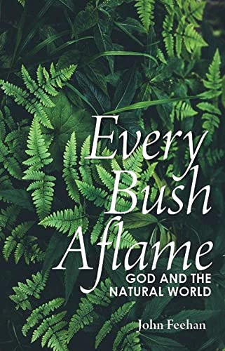 Stock image for Every Bush Aflame: Science God and the Natural World for sale by WorldofBooks