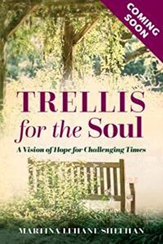 Beispielbild fr A Trellis for the Soul: Spiritual Wisdom for Difficult Times zum Verkauf von WorldofBooks