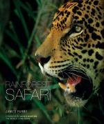 Stock image for Rainforest Safari for sale by WorldofBooks