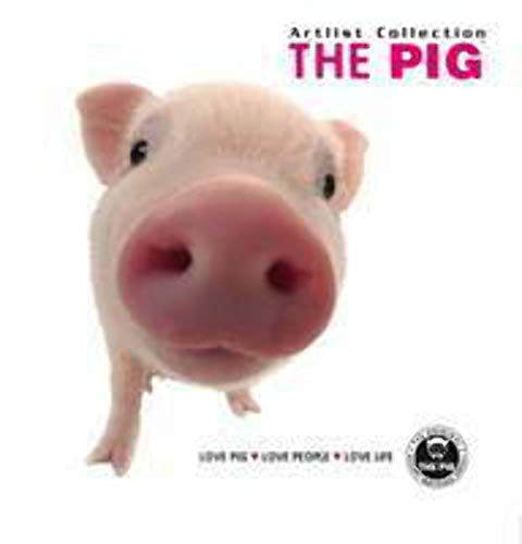 Stock image for The Pig (Pig Artist Collection) for sale by AwesomeBooks