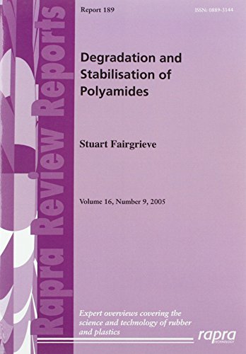 9781847350893: Degradation and Stabilisation of Polyamides