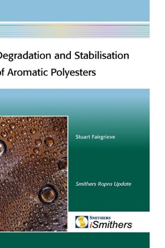 Stock image for Degradation and Stabilisation of Aromatic Polyesters for sale by Phatpocket Limited