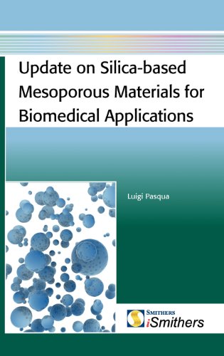 Beispielbild fr Pasqua, L: Update on Silica-Based Mesoporous Materials for B zum Verkauf von Buchpark