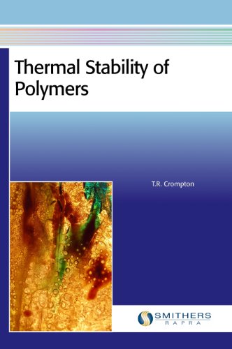 Thermal Stability of Polymers (9781847355133) by Crompton, T. R.