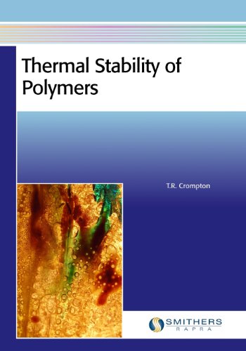 Beispielbild fr THERMAL STABILITY OF POLYMERS zum Verkauf von Buchpark