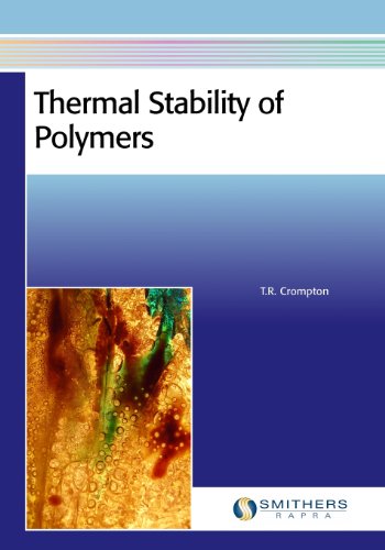 9781847355140: Thermal Stability of Polymers