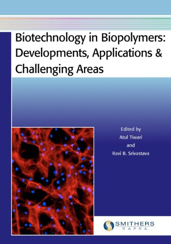 Imagen de archivo de Biotechnology in Biopolymers: Developments, Applications & Challenging Areas a la venta por Mispah books