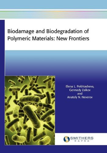 Beispielbild fr Pekhtasheva, L: Biodamage and Biodegradation of Polymeric Ma: New Frontiers zum Verkauf von Buchpark