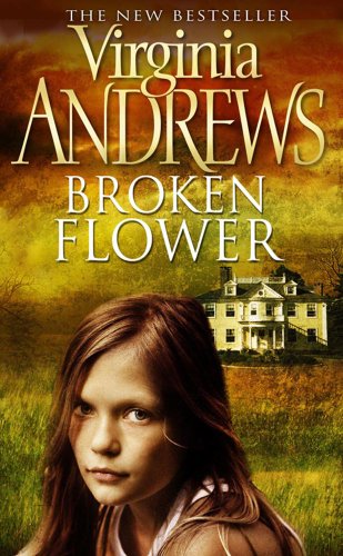 Beispielbild fr Broken Flower zum Verkauf von AwesomeBooks