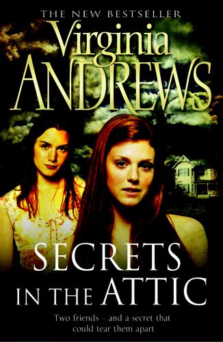 Stock image for Secrets in the Attic for sale by WorldofBooks