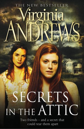 Stock image for Secrets in the Attic (Secrets 1) for sale by Hawking Books