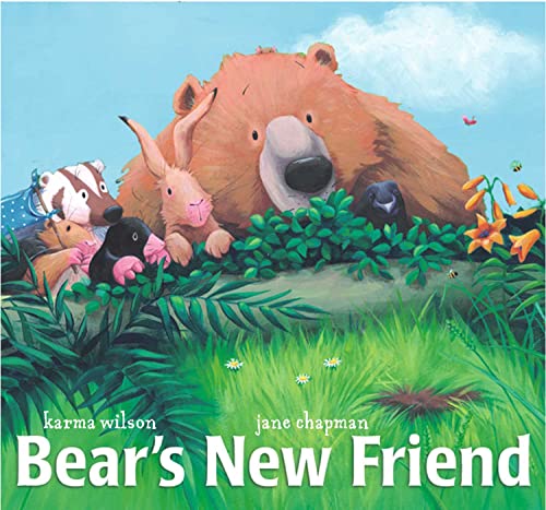 9781847380647: Bear's New Friend