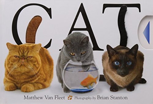 Imagen de archivo de Cat a la venta por WorldofBooks