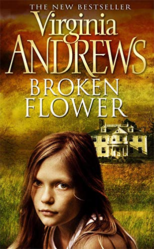 Imagen de archivo de Broken Flower (Early Spring) a la venta por AwesomeBooks