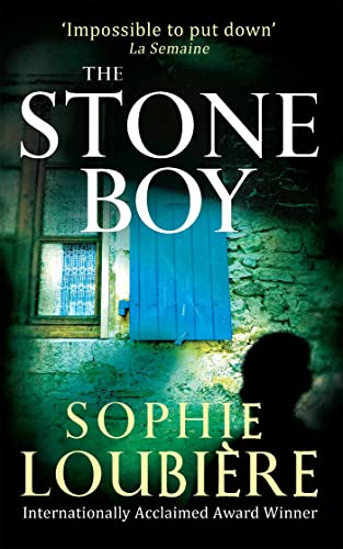 Beispielbild fr The Stone Boy zum Verkauf von WorldofBooks